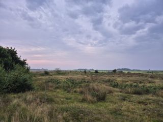 Meteoveld