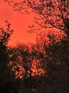 Ochtendrood